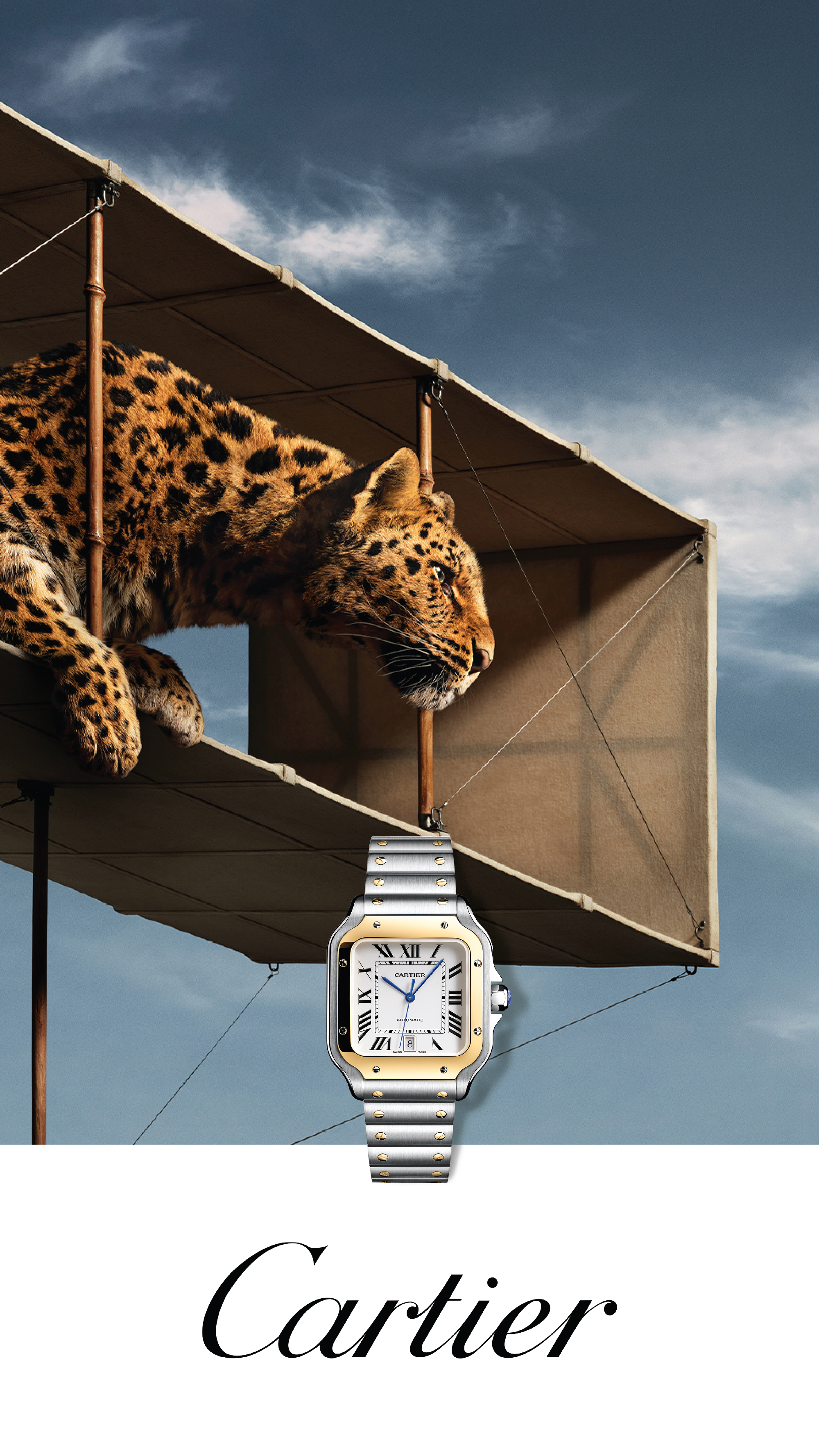 Cartier Banner Cartier Banner