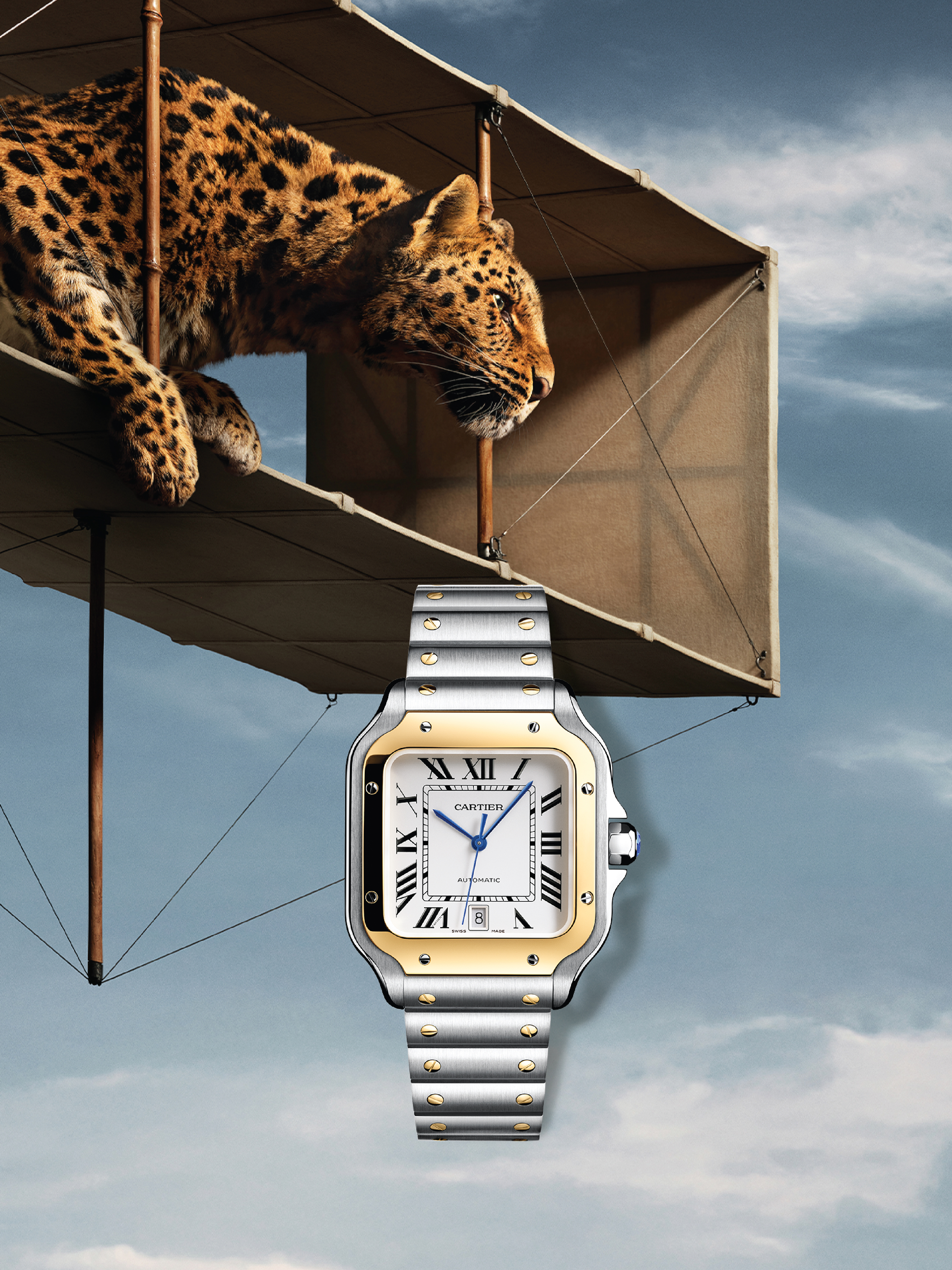 Cartier Banner Cartier Banner