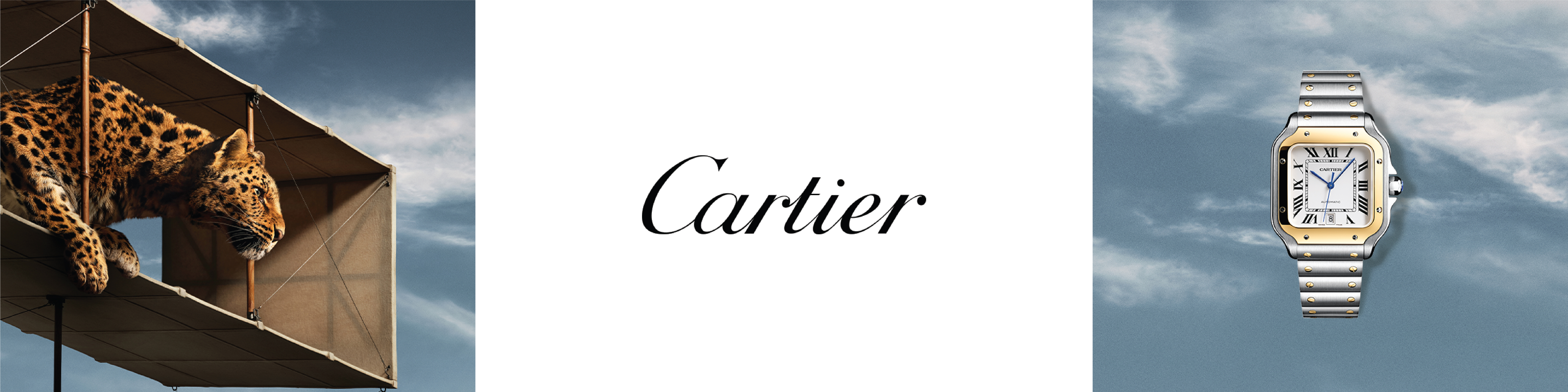 Cartier Banner Cartier Banner