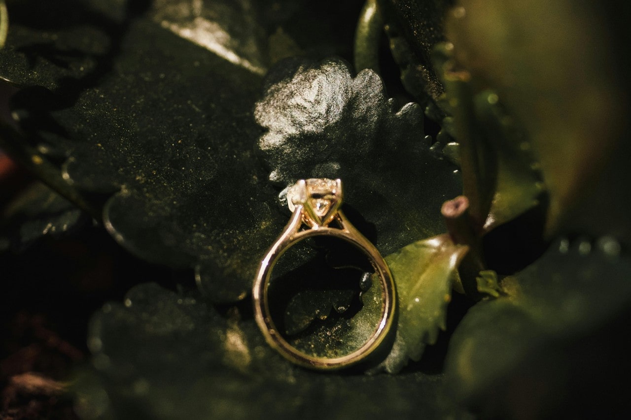 a yellow gold, solitaire engagement ring lying on green leaves